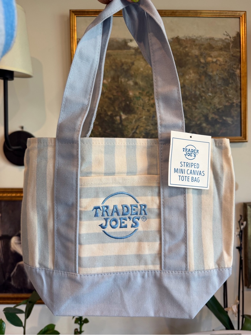 Trader Joe's Blue and Cream Striped Canvas Tote